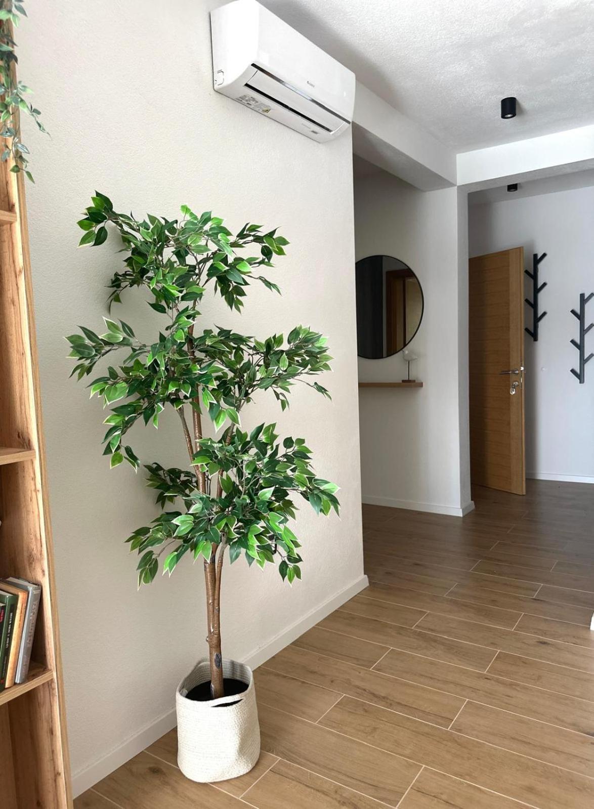 Apartmani Palada Poljica  Eksteriør bilde